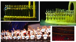 ҴԺҕlg(sh)֧(xing)ĿAMY(ji)