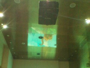 ʐƼɹĳI߶ͶӰCb乤