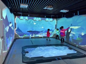 ِ̽ͶӰC(j)ԺʿL(fng)^