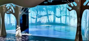 Ӱ g ِͶӰCɫС悳չdµ